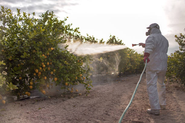Flea Control Services in Baxley, GA